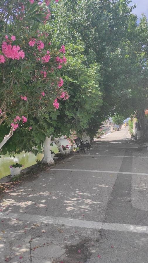Potami Studios Lefkimmi  Bagian luar foto
